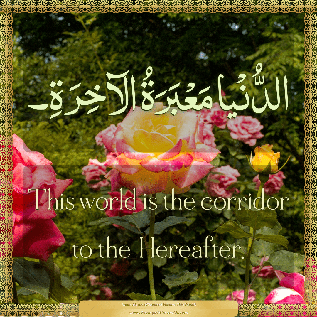 This world is the corridor to the Hereafter.